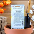 Семена цветов Петуния ампельная крупноцветковая "Лавина" Желтая звезда F1, О, драже 5 шт - Фото 2