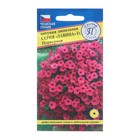 Семена цветов Петуния ампельная крупноцветковая "Лавина" Пурпурный F1, О, драже 10 шт - Фото 1