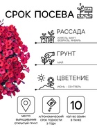 Семена цветов Петуния ампельная крупноцветковая «Лавина» F1, пурпурная, драже, 10 шт. - Фото 2