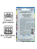 Семена цветов Петуния ампельная крупноцветковая «Синяя звезда», F1, серия «Лавина», однолетник, драже, 10 шт. - Фото 2