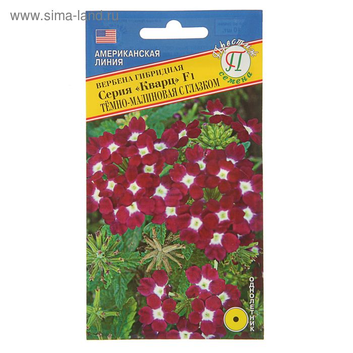 Какие семена у вербены фото и описание Какие семена у вербены фото и описание