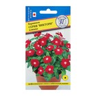 Семена цветов Барвинок "Виктори" Клюква, О, 10 шт - Фото 1