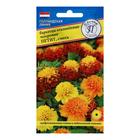 Семена цветов Бархатцы отклонённые «Петит» смесь, О, 20 шт. - Фото 1