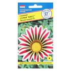 Семена цветов Гацания «Кисс» F1 Белое пламя, для балкона, веранды, цветника, однолетник, низкорослая, 5 шт. - Фото 1