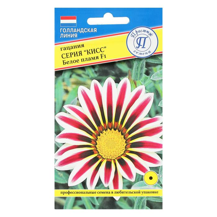 Семена цветов Гацания «Кисс» F1 Белое пламя, для балкона, веранды, цветника, однолетник, низкорослая, 5 шт. - Фото 1