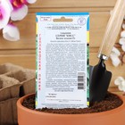 Семена цветов Гацания «Кисс» F1 Белое пламя, для балкона, веранды, цветника, однолетник, низкорослая, 5 шт. - Фото 4