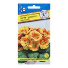 Семена цветов Примула "бесстебельная", "Даниэла" Абрикос , Мн, F1, 5 шт - Фото 1