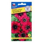 Семена цветов Петуния превосходнейшая "Бордовая", О, драже 10 шт - Фото 1