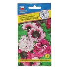 Семена цветов Петуния превосходнейшая «Черный Триумф», однолетник, драже, 10 шт., «Престиж семена» - Фото 1