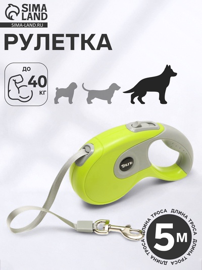 Рулетка DIIL, 5 м, до 40 кг, лента, прорезиненная ручка, зелёная с серым