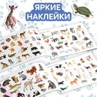 Книга с наклейками «Маленькие зверята», 100 наклеек - Фото 3