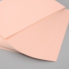 Картон "Жемчужный нежно-розовый" формат А-4 плотность 210 гр - Фото 4