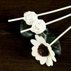 Набор подарочный "Париж": ваза,эфирное масло кофе 30 мл, декор, "Богатство Аромата" - Фото 3