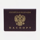 Обложка для паспорта, цвет коричневый - фото 318016658