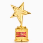 Кубок наградная фигура: звезда «Ты звезда!» золото, пластик, 16×6 см - Фото 2