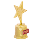 Кубок наградная фигура: звезда «Лучшая мама» золото, пластик, 16 х 8,5 х 6 см. - Фото 2