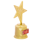 Наградная фигура: звезда литая «Самый лучший», золото, 16,5 х 6,3 см, пластик - Фото 2