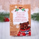 Подарочные орехи фундук "Счастья в новом году", 100 г - Фото 2
