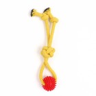 Игрушка канатная с игольчатым шаром, микс цветов - Фото 2