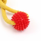 Игрушка канатная с игольчатым шаром, микс цветов - Фото 3