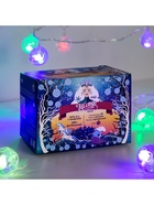 Гирлянда «Нить» 5 м с насадками «Футбольный мяч», IP20, прозрачная нить, 20 LED, свечение мульти (RG/RB), мигание, 220 В - фото 7341370