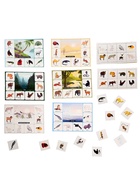 Лото детское» Кто где живёт?», МИКС - Фото 3