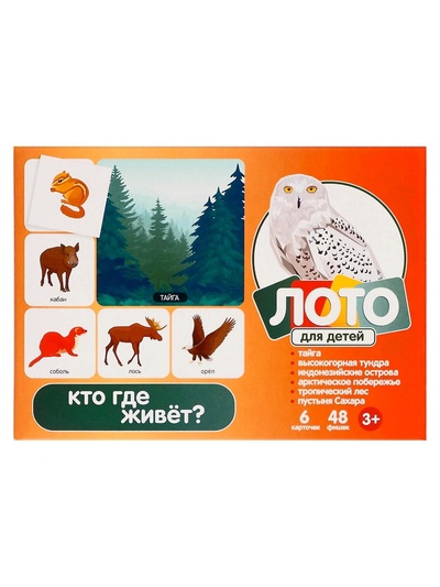 Лото детское Десятое Королевство «Кто где живёт?», МИКС