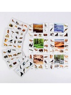 Лото детское» Кто где живёт?», МИКС - Фото 7