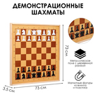 Демонстрационные шахматы 61 х 61 см, на магнитной доске, король 6.4 см - фото 51417696