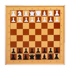 Демонстрационные шахматы 61 х 61 см, на магнитной доске, король 6.4 см