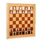 Демонстрационные шахматы 61 х 61 см, на магнитной доске, король 6.4 см - Фото 2
