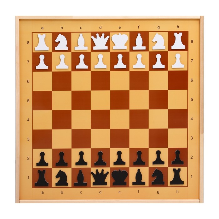 Демонстрационные шахматы 61 х 61 см, на магнитной доске, король 6.4 см - фото 1906881156