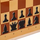 Демонстрационные шахматы 61 х 61 см, на магнитной доске, король 6.4 см - фото 8349227