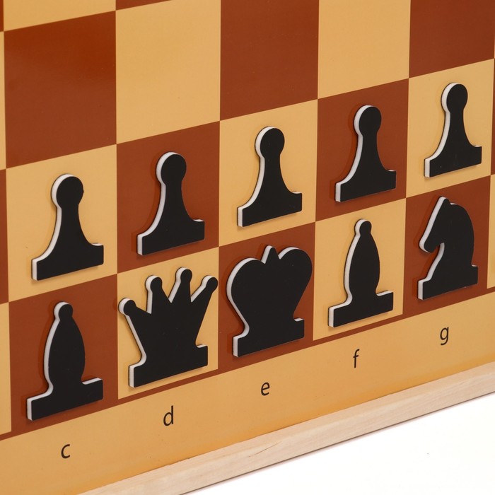 Демонстрационные шахматы 61 х 61 см, на магнитной доске, король 6.4 см - фото 1906881157