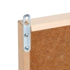 Шахматы демонстрационные, магнитные, 73×73 см - Фото 5