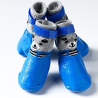 Носки с прорезиненной подошвой "Мишки", размер M (4.5 х 6 см), синие - Фото 1
