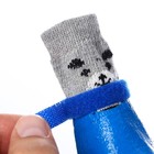 Носки с прорезиненной подошвой "Мишки", размер M (4.5 х 6 см), синие - Фото 4