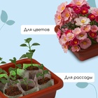 Ящик для рассады, 23.5×23.5×7 см, 3 л, пластик, цвет МИКС - Фото 4