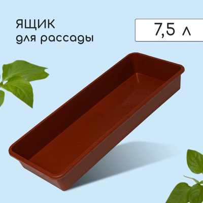 Ящик для рассады, 53×21.5×7.2 см, 7.5 л, пластик, МИКС