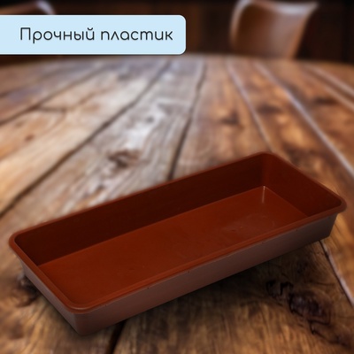 Ящик для рассады, 53×21.5×7.2 см, 7.5 л, пластик, МИКС