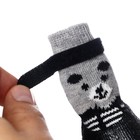 Носки с прорезиненной подошвой "Мишки", размер S (4 х 5 см), черные - Фото 4