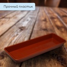 Ящик для рассады, 65×22×7.5 см, 9 л, пластик, МИКС - Фото 4