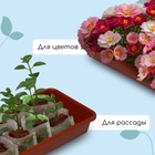 Ящик для рассады, 65×22×7.5 см, 9 л, пластик, МИКС - Фото 4