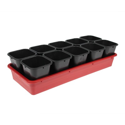 Набор для рассады: стаканы по 700 мл (10 шт.), поддон 54 × 21 см, чёрный