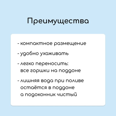 Набор для рассады: стаканы по 1 л (10 шт.), поддон 61×23 см, чёрный