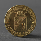 Монета "10 рублей 2014 ГВС Старый Оскол Мешковой" - фото 306957737