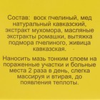 Мазь «Монастырская Живица с Мухомором». Ранозаживляющая. Стекло. 28 мл. - Фото 6