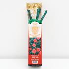 Саженец розы Оранж Джувел - Фото 1