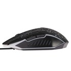 Мышь LuazON MB-2.9, игровая, оптическая, подсветка, покрытие soft-touch, 1.35 м - фото 51294038 Мышь LuazON MB-2.9, игровая, оптическая, подсветка, покрытие soft-touch, 1.35 м - фото 51294038