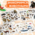 Наклейки детские «100 наклеек. Животные со всего света», 12 стр. - Фото 3